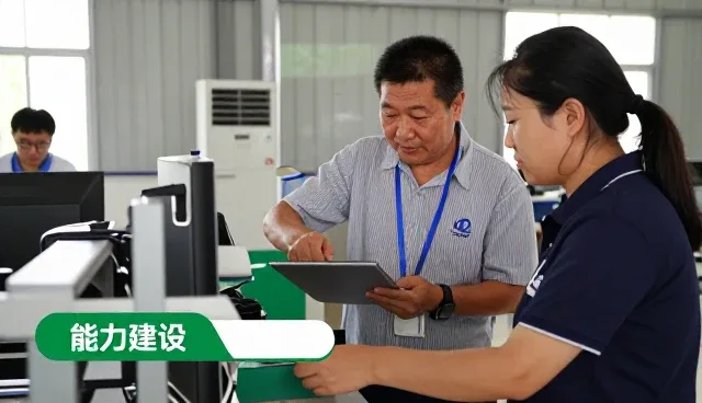 定制化服务方案使用技巧分享